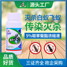 康宇白蚁杀虫剂灭白蚁专用喷雾家用防治白蚂蚁药水联苯菊酯白蚁药
