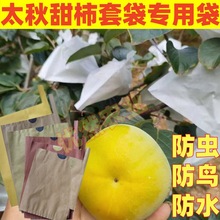 �����״���̫�����ӷ��x���B�״��S�����t���������ӹ����״�