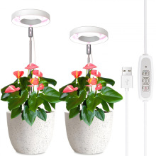 Y 64965 Timed Tecopic Grow Light ��ʱ�������������ͨ�¿�