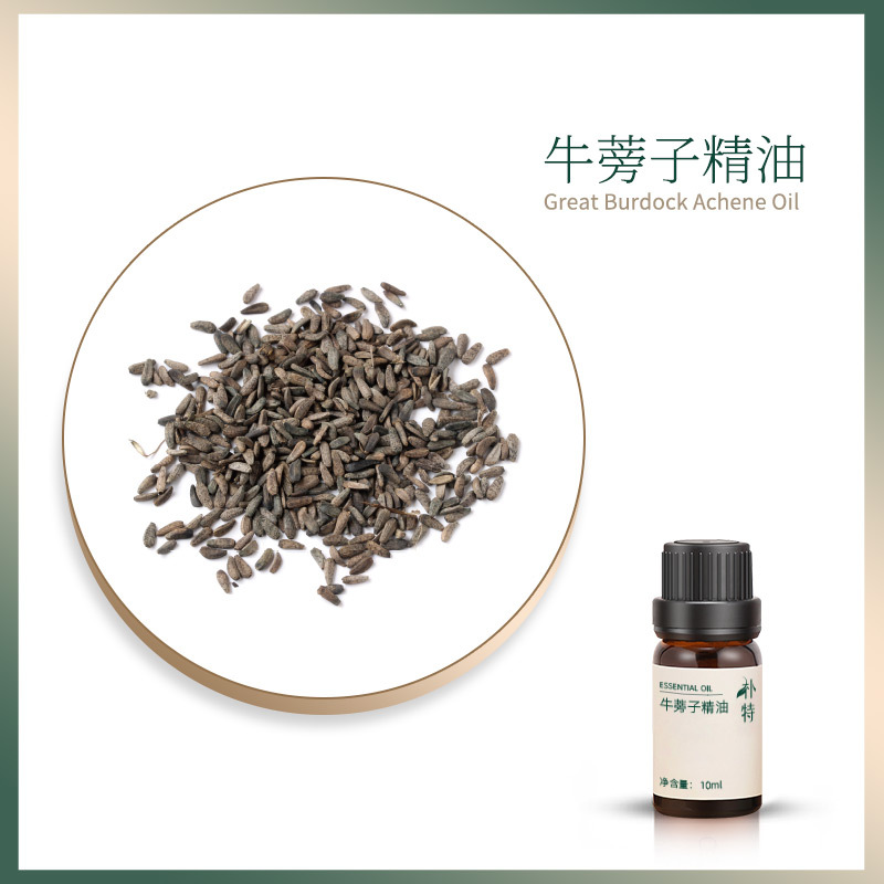 수용성 오일 가용성 Arctium 단일 사각형 에센셜 오일 아로마 테라피 기계 가습기 공장 직접 간호 화합물 세트