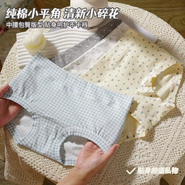 女士大码内裤;女士三角裤;男士平角裤