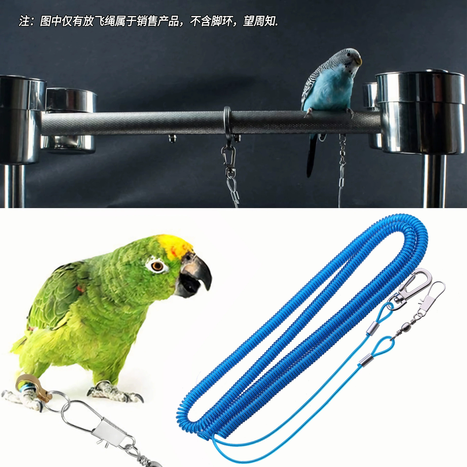 Outdoor bird training rope parrot fly rope traction rope walking bird rope elastic flight rope outdoor anti-fly rope