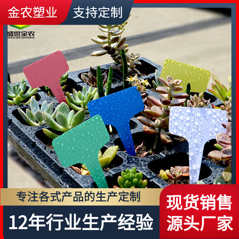 PVC Plastic Waterproof Flower Succulent Plant T -type Tag Garden…