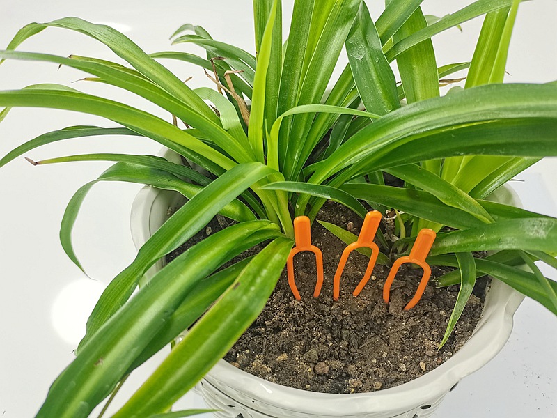 IMG_20230308_105657_副本_副本