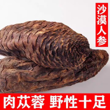 野山肉苁蓉500g新疆整根沙漠人参配回春草不老草泡酒药材锁阳苁蓉
