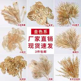 金色花花材客厅尤加利冬青果新年插花材料福桶花艺果红果垒德株