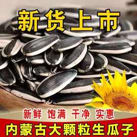 内蒙363瓜子新货精品原味熟瓜子炒葵花籽坚果炒货批发休闲小零食