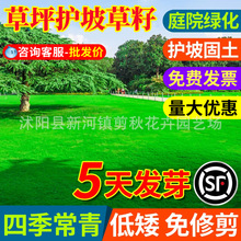 ƺļo¾GݷNӹͥԺNѰ~