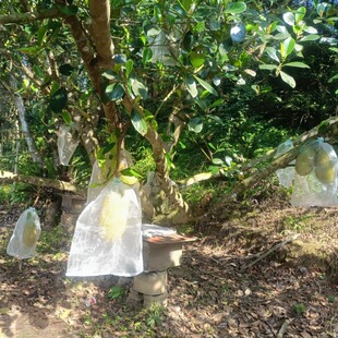 �S�������W��ˮ�����x�����B��ˮ�����N���N�Ӵ����N�����W���״�