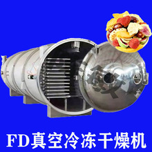 FD200平食品级大型真空冷冻干燥设备 蔬菜果蔬猕猴桃山楂冻干机
