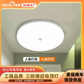 应急指示灯具;LED日光灯;地脚/墙脚灯