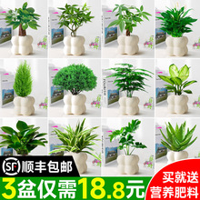 ����С�Gֲ�����k���҃ȿ͏dins�����LС�����ļ�����ȩ���˺��B