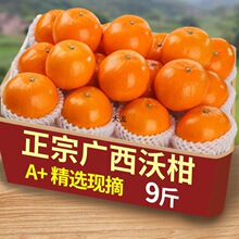 �V�����Q�ָ�10�����rˮ����������ʵ�ɳ������ɰ�Ǹ��ٽ�������