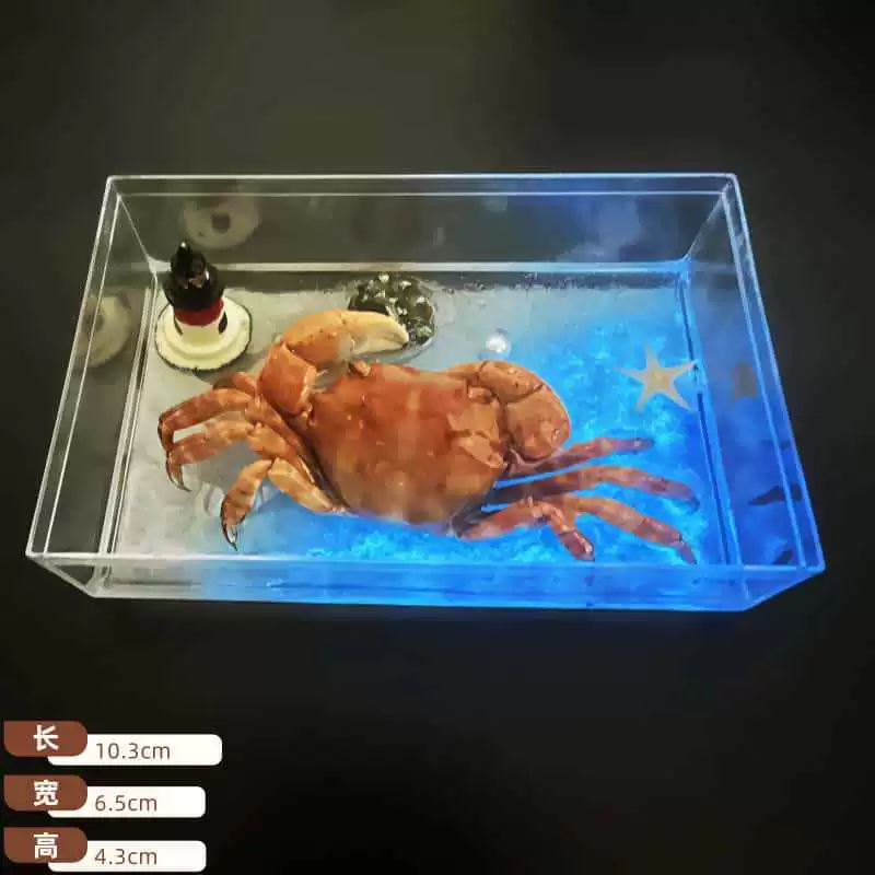 Креативные трехмерные декорации для плавания, 3D, подарок на день рождения, оптом