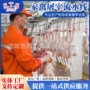 安装屠宰自动调试流水线