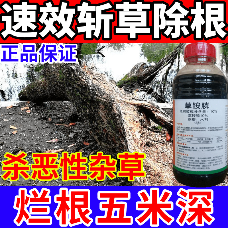 速效斩草除根剂高含量加强型草铵膦芦苇除草不伤土壤烂根死根农药