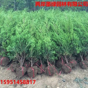 �ؘ����ɘ���������������ѩ�������̰��}�Q���Ĺ�G���ɘ�