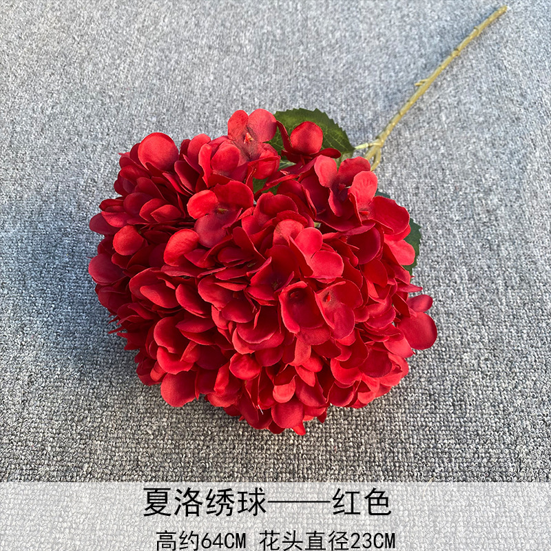 Charlotte Hortensia rojo