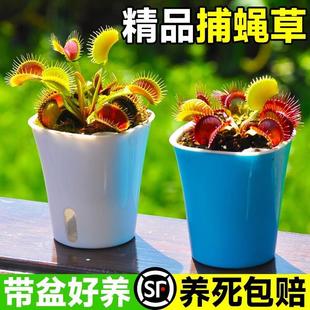 ����ω�������i�\��ʳ�xʳ�˻���ˮ��ֲ��é�����þGֲ���x��