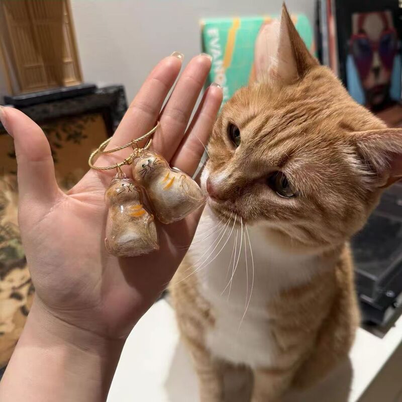 透明猫毛收纳盒吊饰扭蛋猫咪毛发存放胶囊扭蛋包挂钥匙扣挂件收藏|undefined