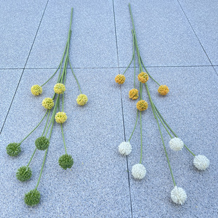 �a��؛Դ ���滨 5�^��֧�S��� ��c·���b� �Ҿ�ܛ�b