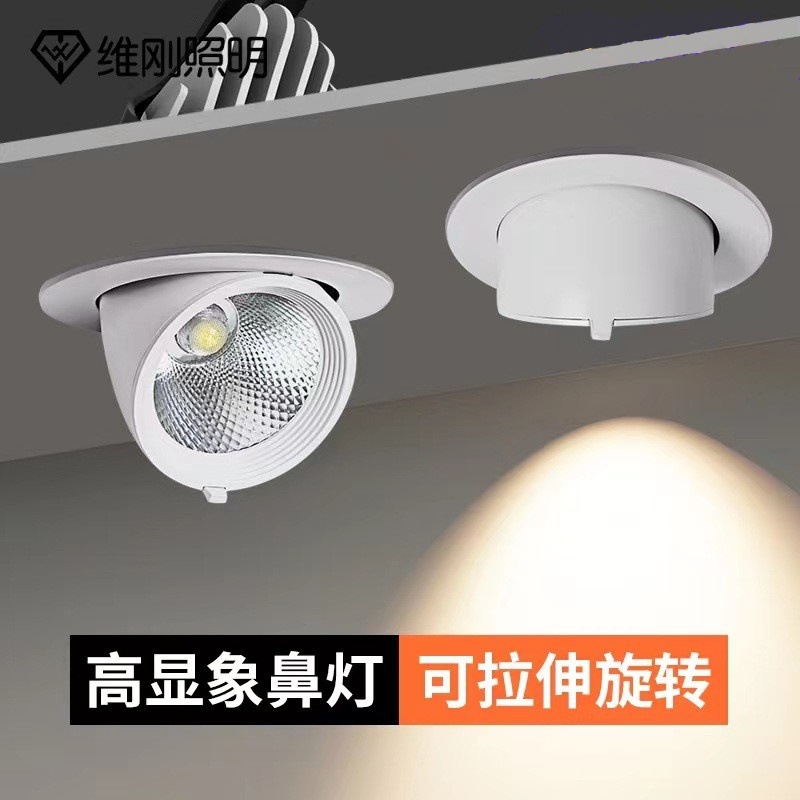 Elephant Trunk Spotlight Recessed Clothing Store Dedicated COB Spotlight Extendable Commercial Bullseye Light PURE 98 Display