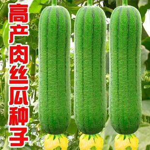�羳�����z�ϷN������Ʒ�N�߮a����ͥԺ��ͥ�ļ��N�z�Ͻz������