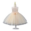 Summer dress for princess, children's skirt, Birthday gift, tulle