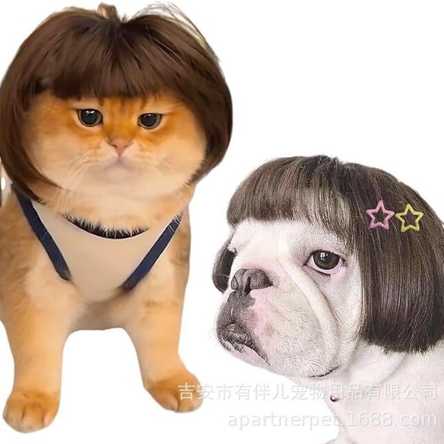 Funny Pet Wig DIY Dog and Cat Funny Bangs Hairstyle Props Theme Party Photo Props