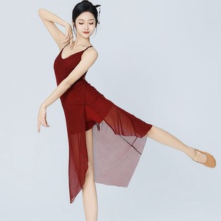 Sexy Jazz Dance Dress Women 2024 New Mesh Latin Practice Dress Pure Desire V-Neck Slim-Fit Dress