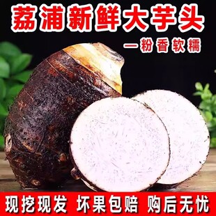 ������ֱ�l�����ڏV���خa�������^ ���r���ٙ���������3/5/9���