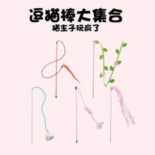 ���R�d��Ů����߾��ܲ��lë�ֶ�؈���������˽␞؈����н��B