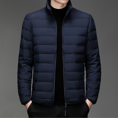New off-season casual lightweight down cotton jacket for men, white down insulated stand-up collar short down jacket