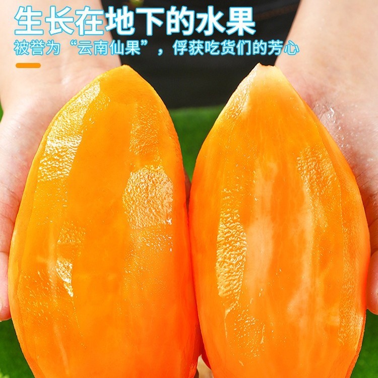 Tian Shan snow lotus fruit 12jin fresh fruit seasonal Yunnan pregnant red heart snow lotus yellow heart whole box direct sale