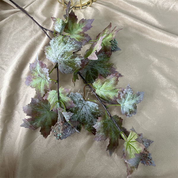 Single grape leaf leaf leaf leaf with fruit realistic plant wall…