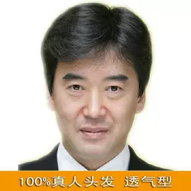真发假发;假发片;男士假发
