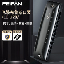 FEIFAN十孔PADDY 调专业演奏级布鲁斯口琴10孔入门初学者练习推荐