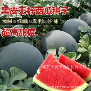 ����o�����ϷN�Ӻ�Ƥ�S�a��Ƥ�t���ش����������ˮ���N���ļ�