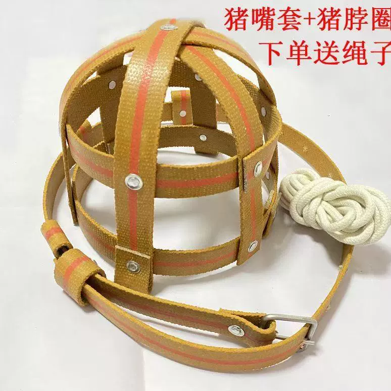 Укрепленный свиноматок свиноматок