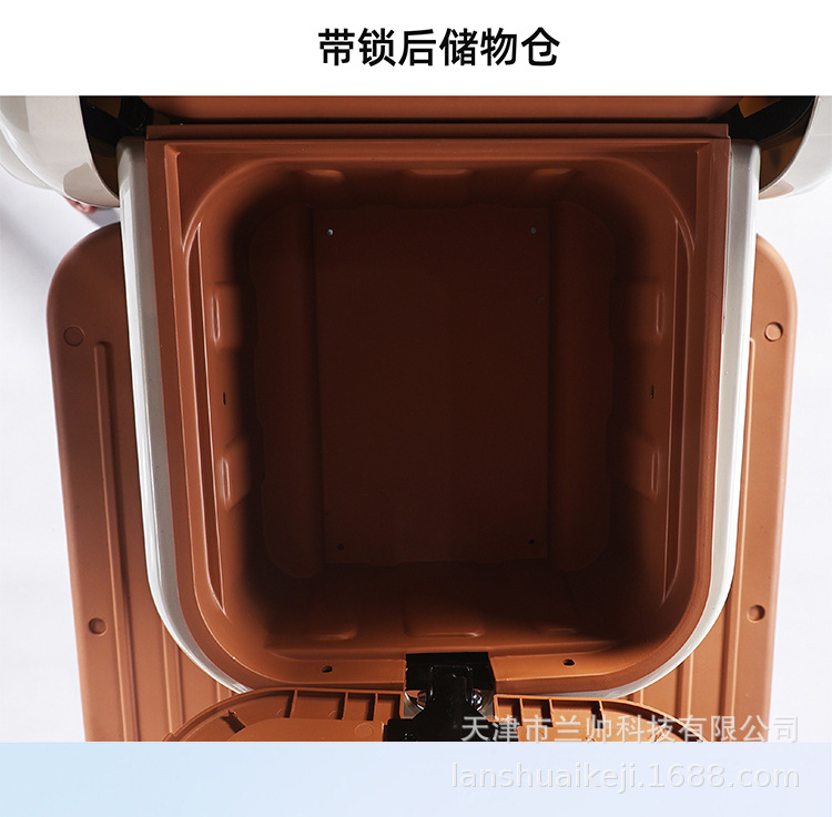 New National Standard Electric Leisure Tricycle Small Vehicle for Kids