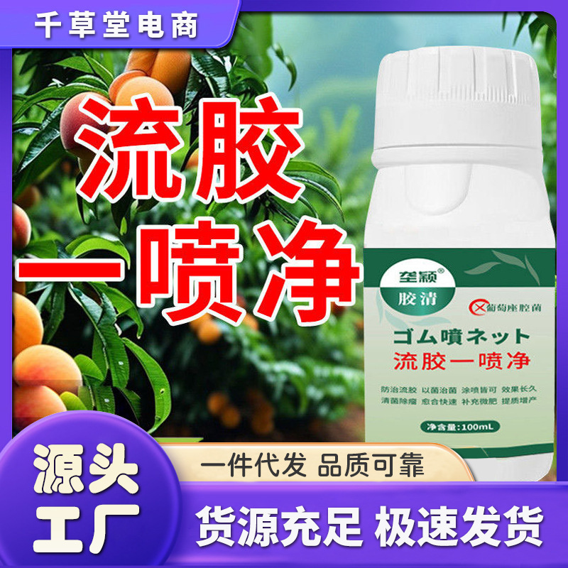 Cross-Border】Lingying Flowable Glue Spray for Peach Tree Rot, Specialized for Tree Trunks, Bark Rot, Fruit Rot, and Fruit Tree Perforation Cross-Border】Lingying Flowable Glue Spray for Peach Tree Rot, Specialized for Tree Trunks, Bark Rot, Fruit Rot, and Fruit Tree Perforation