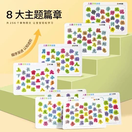 其他益智玩具;玩具挂图;早教闪卡