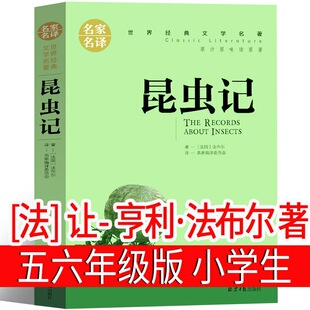 ���xӛ ���������꼉���꼉С�W�� ���꼉����������=���x�n���