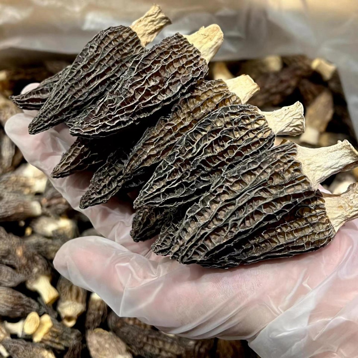 Morchella specialty new dry mushroom dry 250g large shear handle edible fungus-on behalf of [wholesale private chat]]
