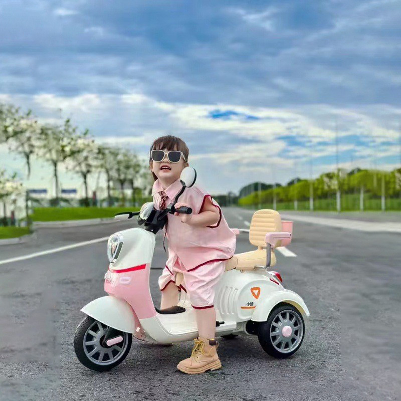 Batería 6V4.5 + rosa