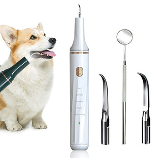 Pet Oral Care dental instrument electric irrigator household portable ultrasonic scaler for removing dental stones