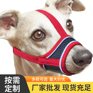 ����؈���Ȧ���׹�ʿ���ë������з�ҧ���{������ ����