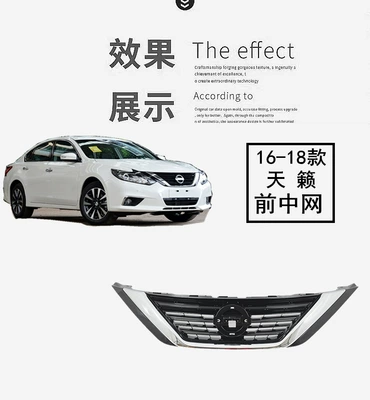 Zhongwang Teana Front Grille, Front