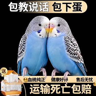 �����W�fԒ���W�^���B��Ƥ�W�^�B�С�B���B����С���W�^һ��һĸ