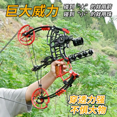 新型の卸売りの悪棒の複合の滑車の弓は矢の鋼の玉の両用の弓をアーチェリーします。